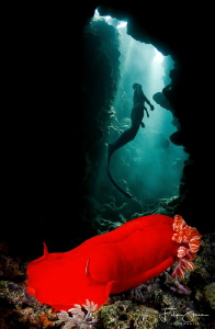"Spanish freediver", Dahab, Red sea. by Filip Staes 